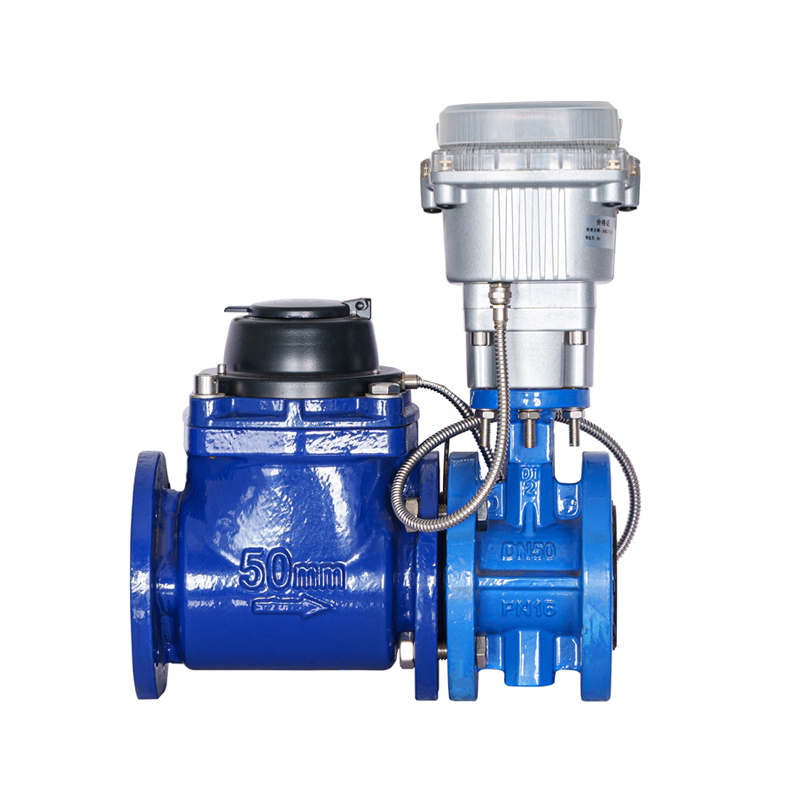 WPH DN50-DN200 Contor de apă controlat prin supapă cu șurub detașabil orizontal (cu supapă stivuită)