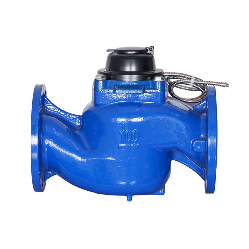 WS-DN40-DN200 Contor de apă fotoelectric cu citire directă, cu aripă verticală cu șurub de înaltă precizie