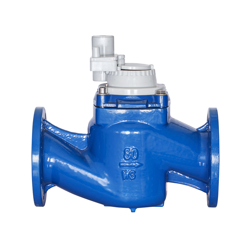 WS-DN40-DN200 Contor de apă integrat nemagnetic detașabil cu aripă verticală cu șurub de înaltă precizie