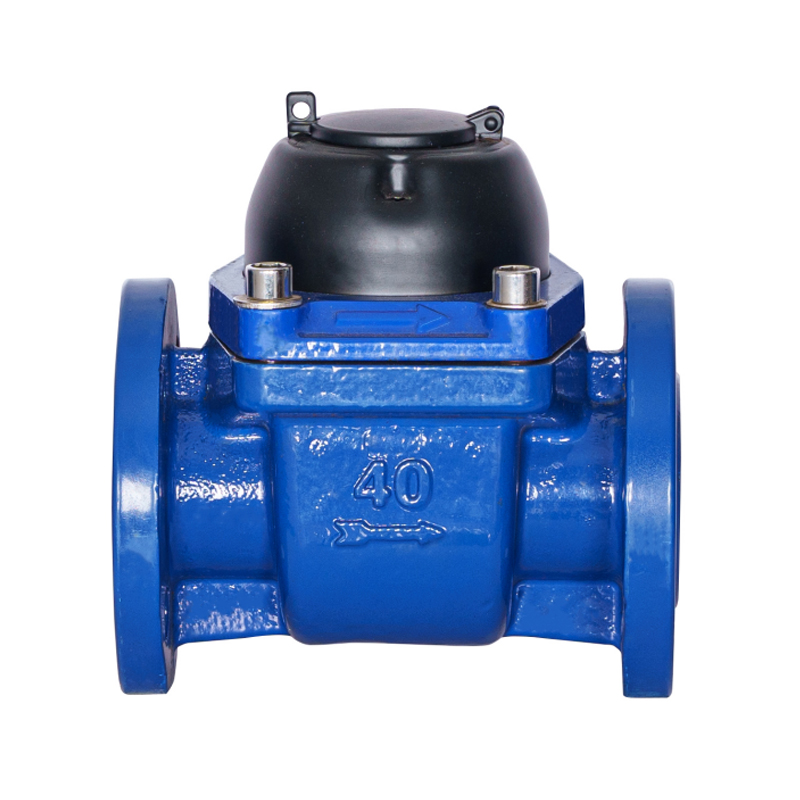 WPH-DN40-DN65WPH apometru orizontal cu aripi spiralate