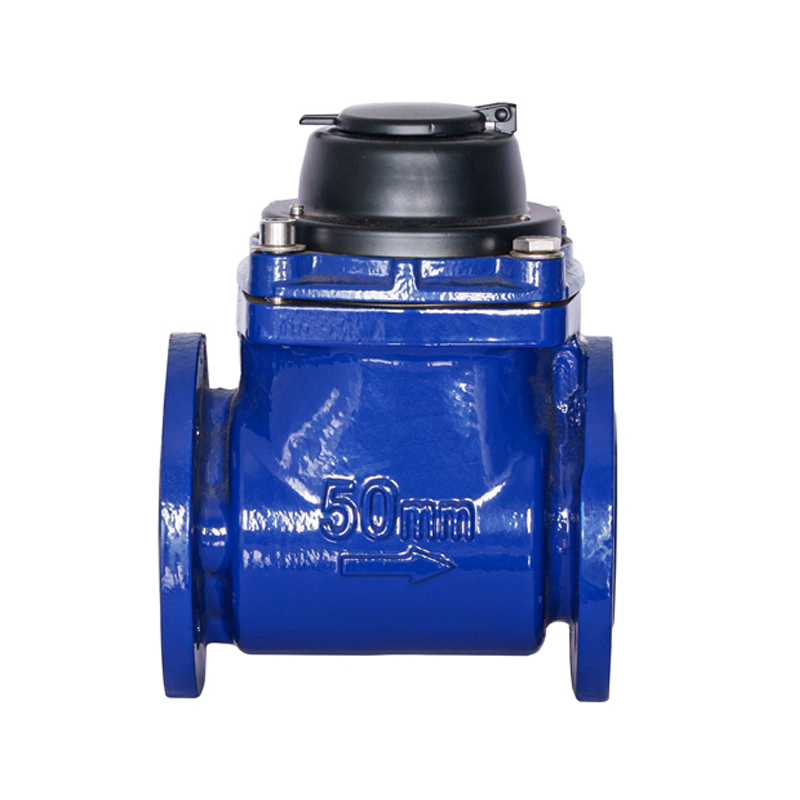 WPH DN50-DN200 Contor de apă cu aripă spiralată orizontală detașabilă