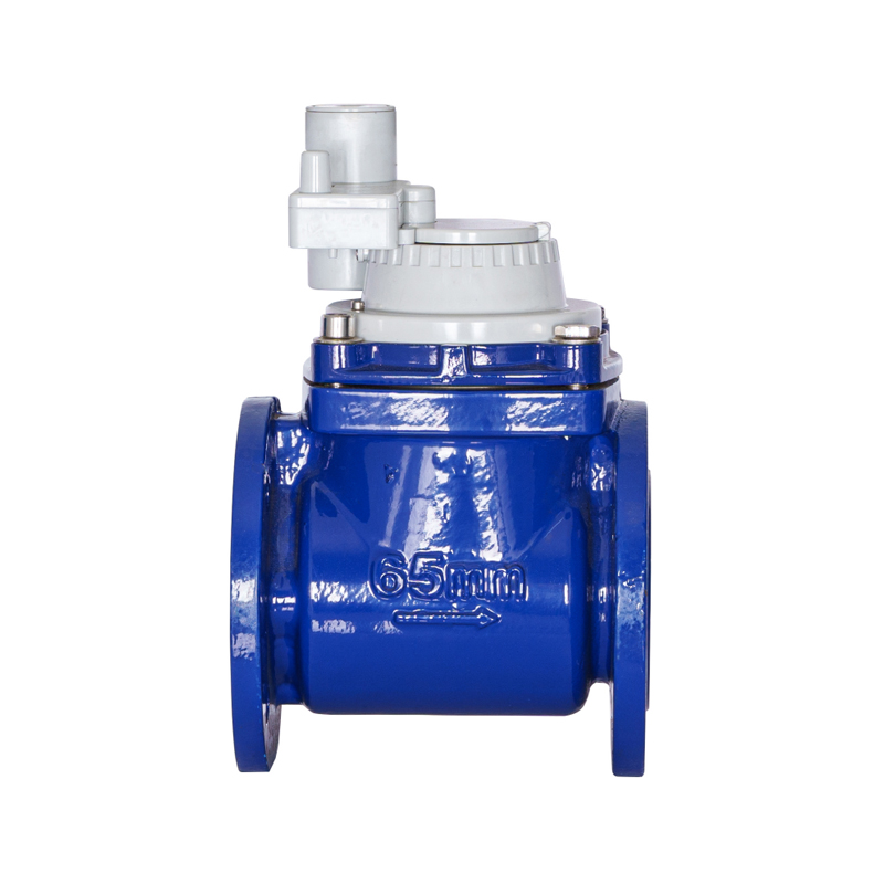 WPH DN50-DN200 Contor de apă integrat nemagnetic cu aripă cu șurub detasabil orizontal