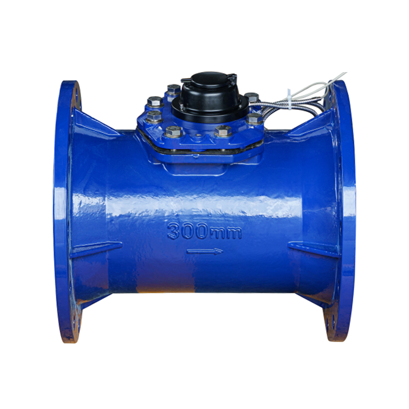 Contor de apă detașabil orizontal LXLC-DN50-DN500